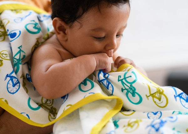 Organic Bike Blanket