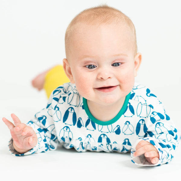 Baby Penguin Dress