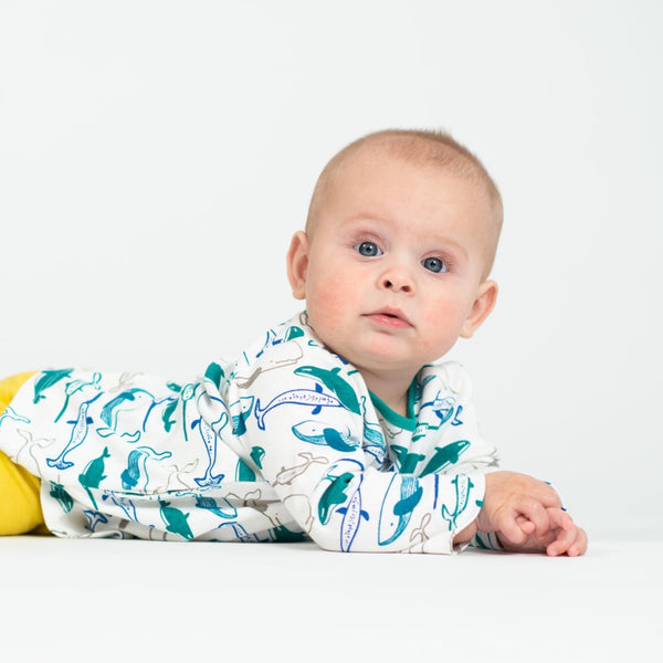 Baby Whale Dress