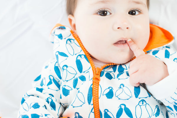 Penguin Hoody - mirasa, clothing - organic cotton baby clothing 