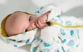 Porcupine Hoody - celery/teal