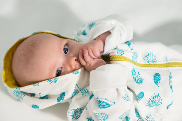 Porcupine Sweat Set -Blue Tile