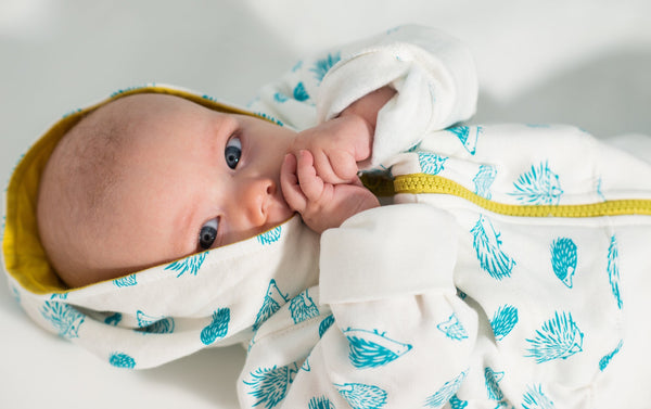 Porcupine Hoody - celery/teal