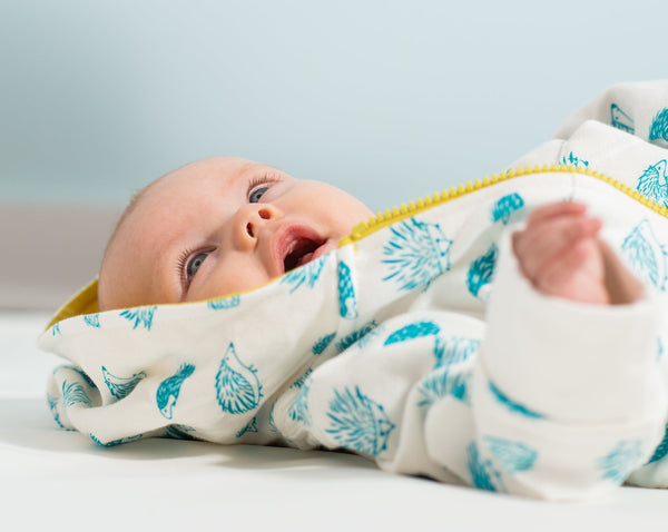 Porcupine Hoody - celery/teal