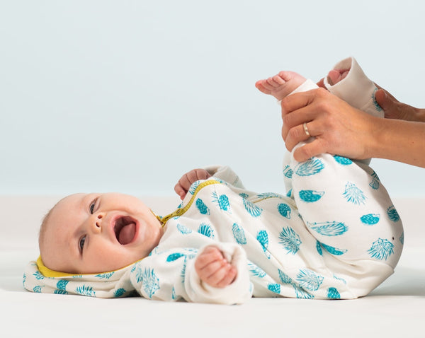 Porcupine Hoody - celery/teal