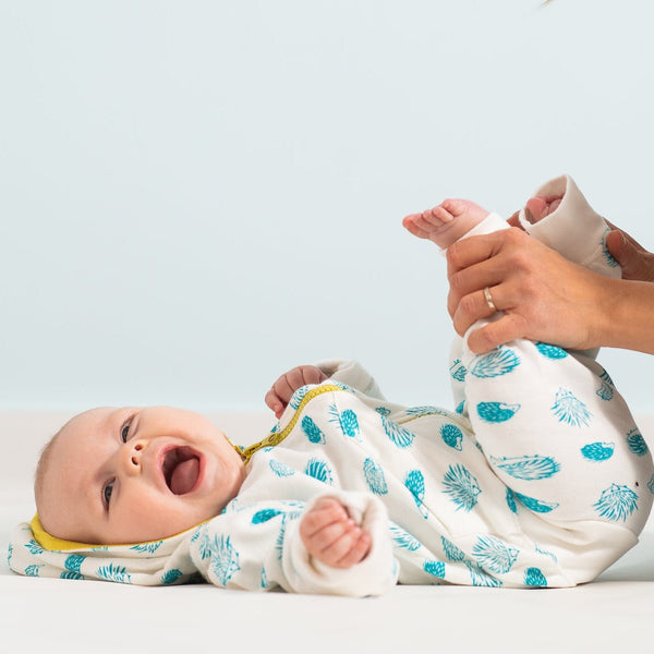 Porcupine Sweat Set -Blue Tile